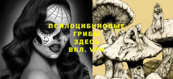 МДМА Няндома