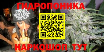 СК Рязань