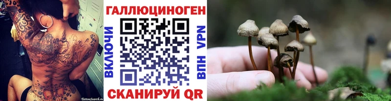 Галлюциногенные грибы GOLDEN TEACHER  блэк спрут как зайти  Татарск  дарк нет наркотические препараты  купить наркотик 