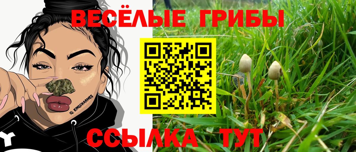 Татарск  Псилоцибиновые грибы Magic Shrooms  Вход с VPN  Галлюциногенные грибы Magic Shrooms 