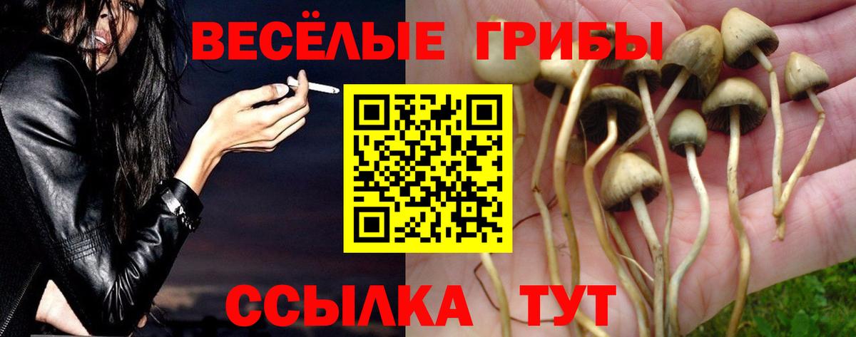 Псилоцибиновые грибы GOLDEN TEACHER Татарск